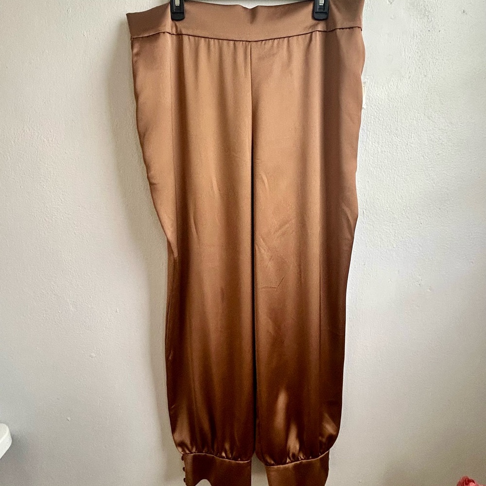 Brown Joggers with Elastic Waistband and Sheen